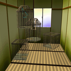 BirdCages.png